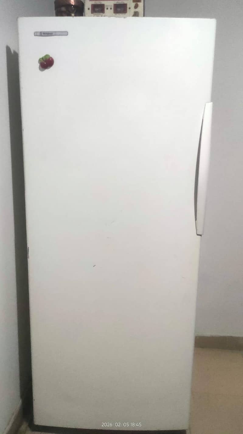 upright freezer 7