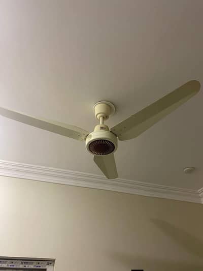 5 FAN COOPER