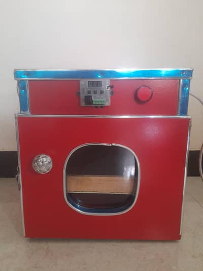 Egg incubator