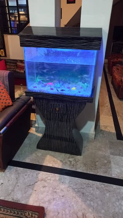 Beautiful Aquarium