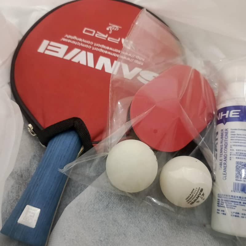 Table Tennis 0