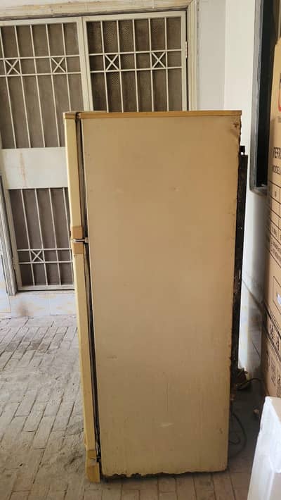 pel fridge medium size Double door