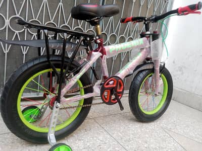Brand New Phoenix Bicycle 16"