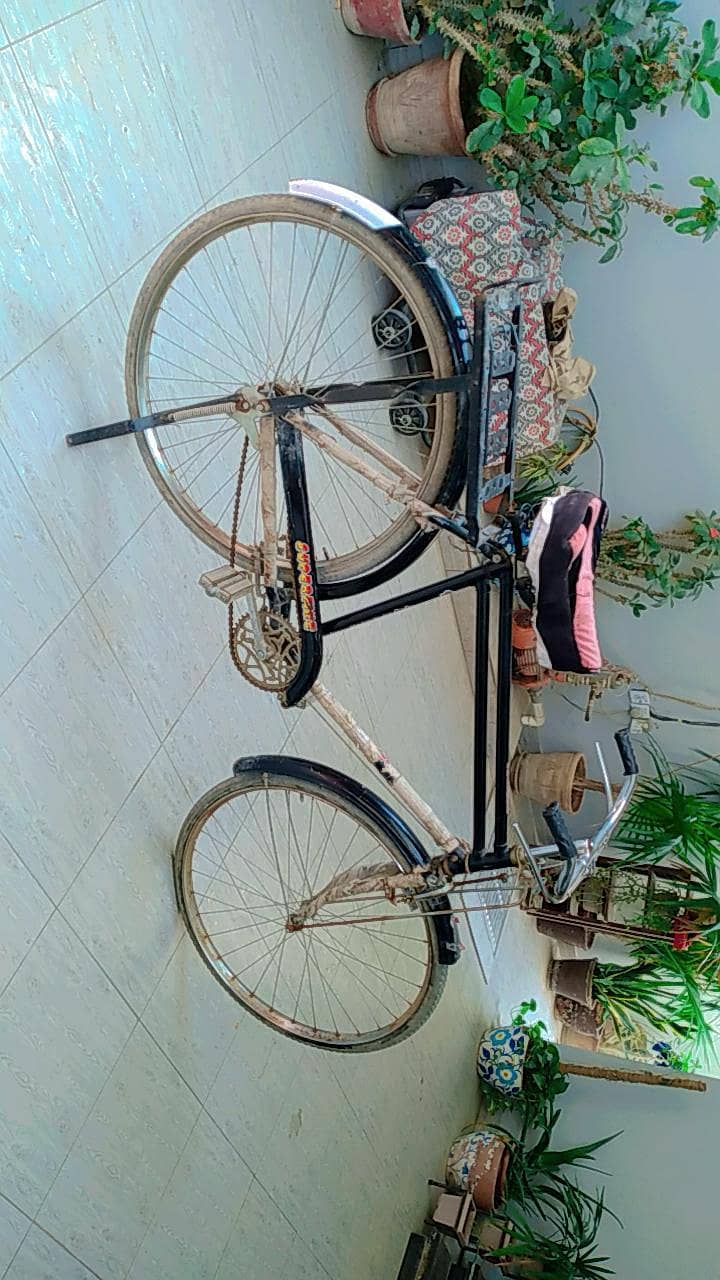 bicycle 0