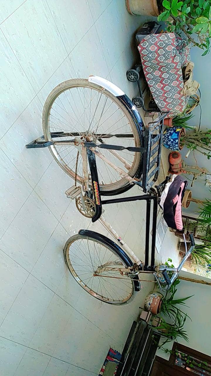 bicycle 1