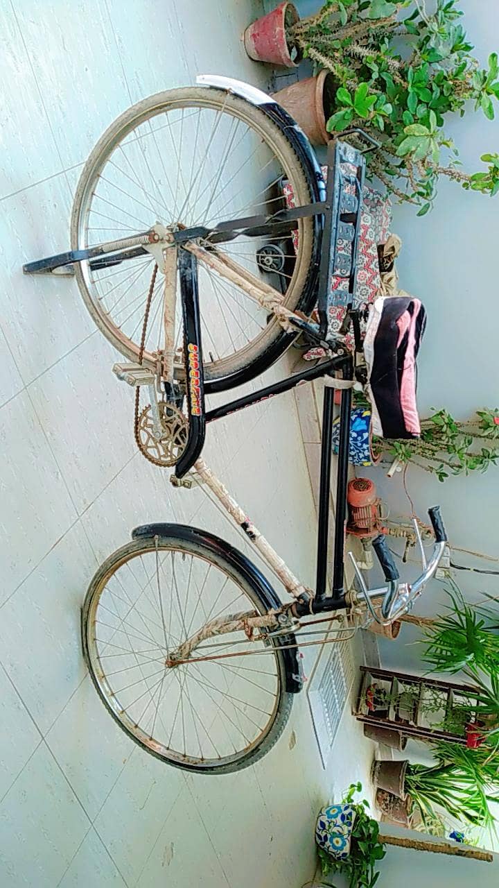 bicycle 2
