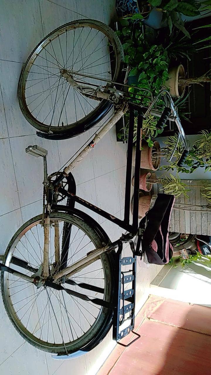 bicycle 3
