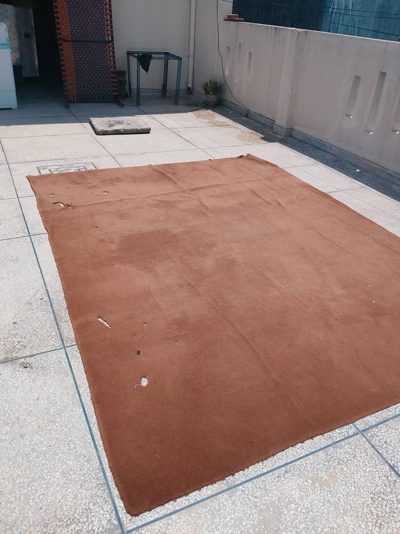 carpet 0