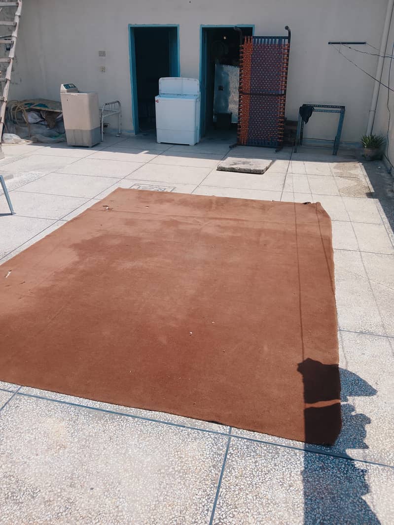 carpet 3