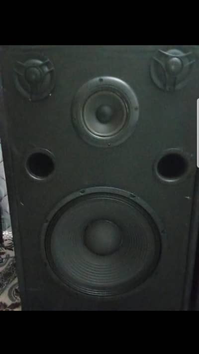 12 inch speakers