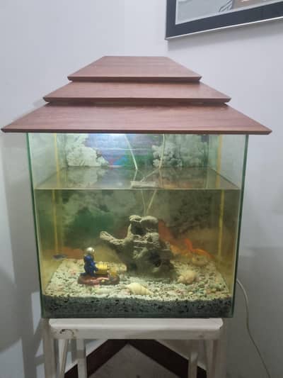 Aquarium 12x18 with all accessories