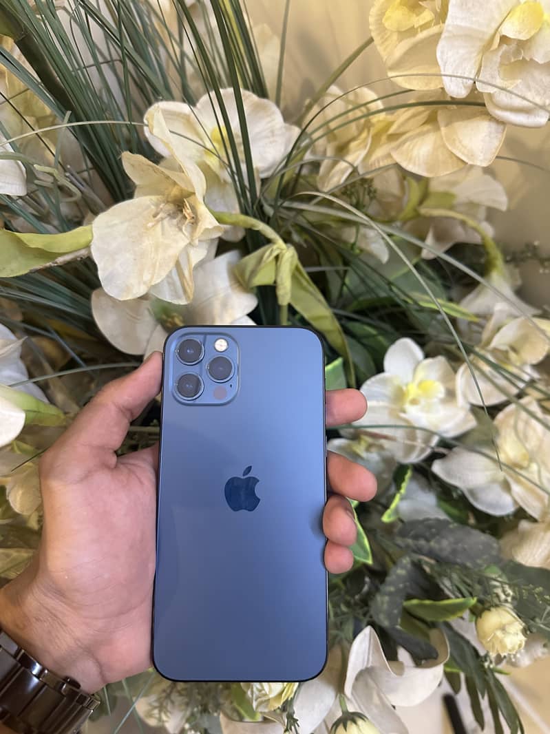Apple iPhone 12 Pro 0