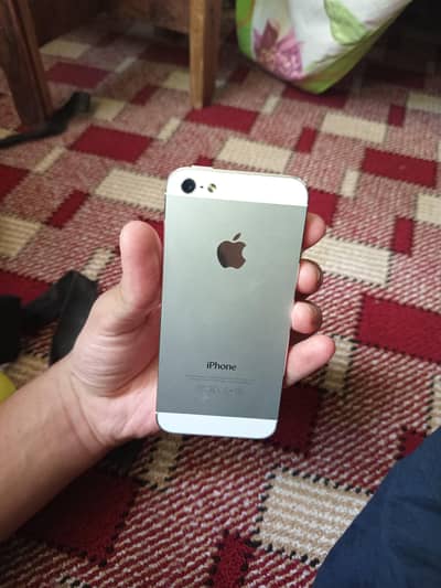 iPhone 5 password locked can be removed