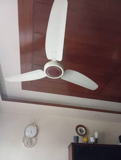 ceiling Royal fan