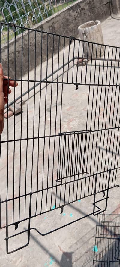 birds cage