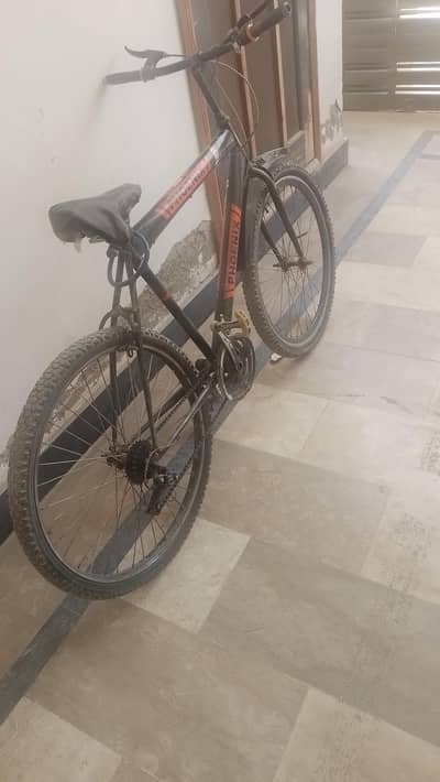 Big Size Gear Cycle for Sale