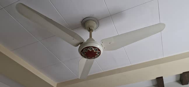 ceilings fans 2