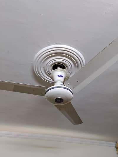 2 Cieling Fans Pak & Younas