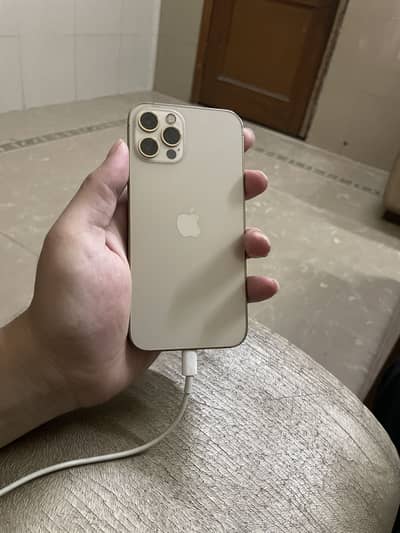 Iphone 12 pro pta approved