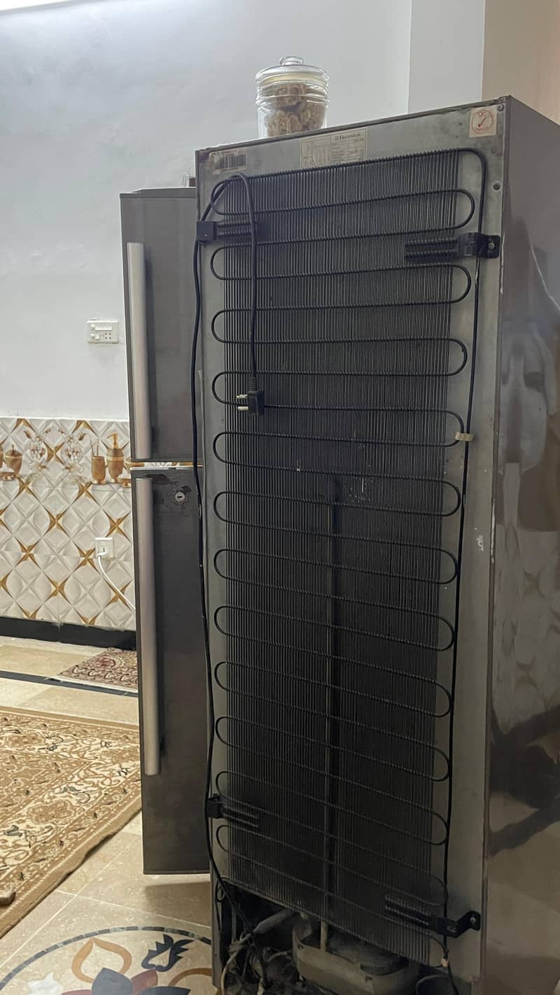 refrigerator 12