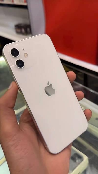 Apple iPhone 12 Fun Cooler