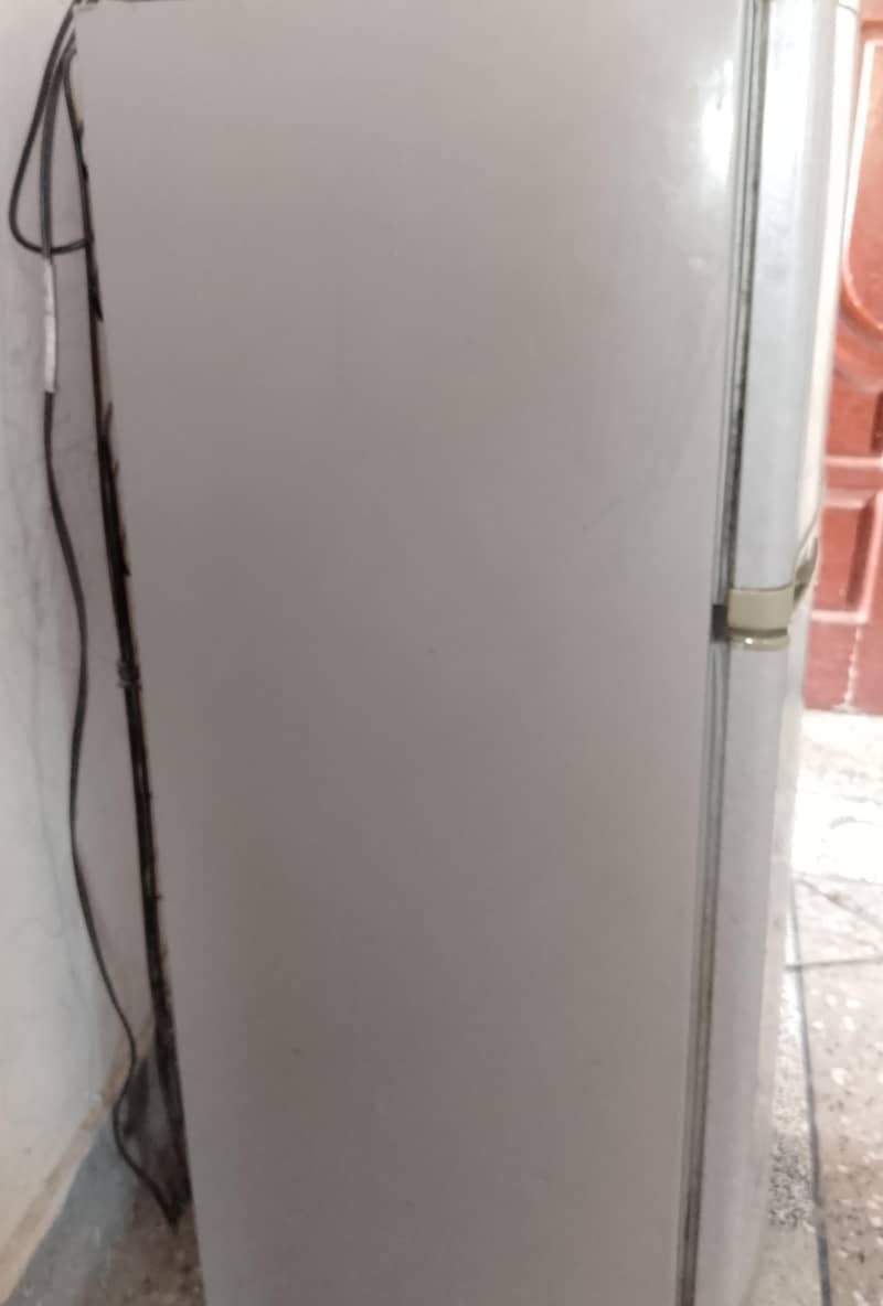 Waves Fridge 1