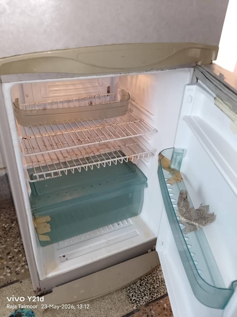 Waves Fridge 2