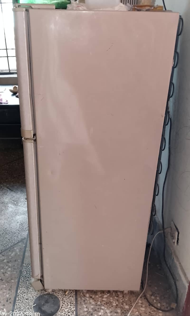 Waves Fridge 3