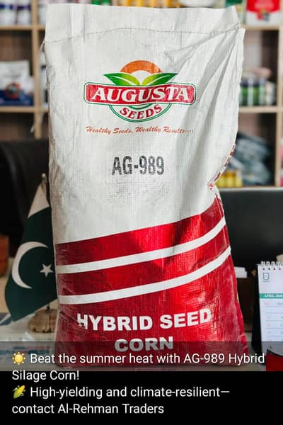 AG-989 Hybrid Silage Corn