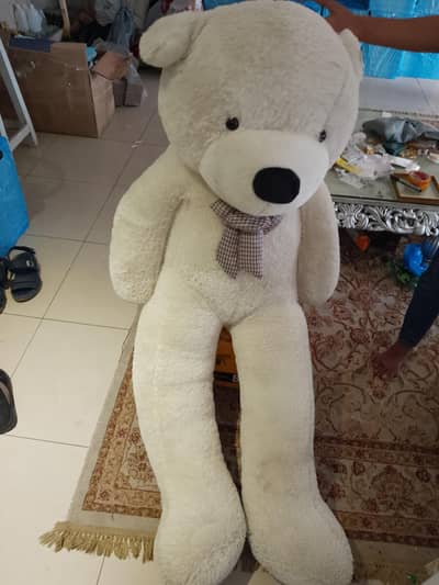 teddy bear