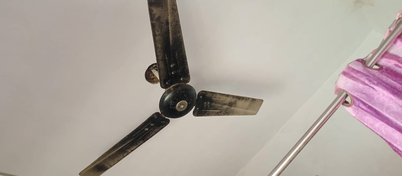 pakfan 0