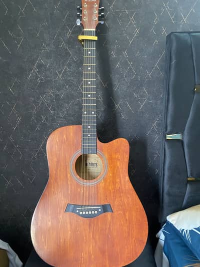 Professional guitar. High voltz AD-01