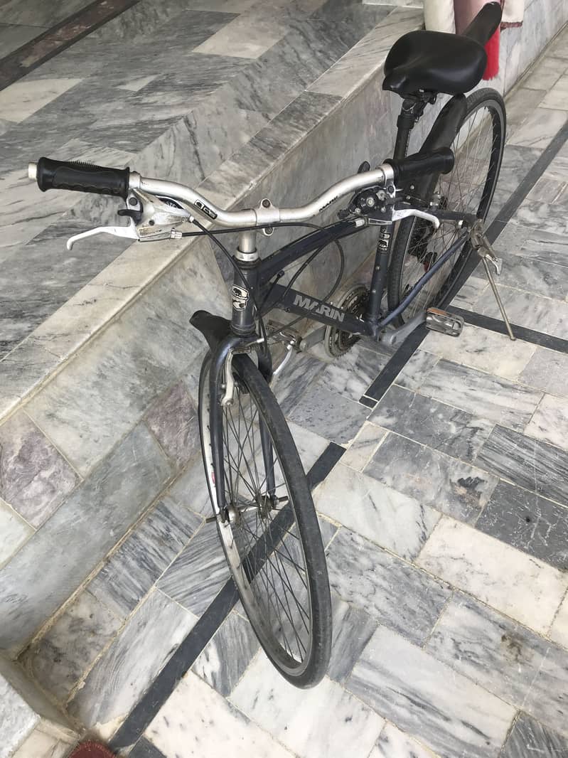 Cyclea 1