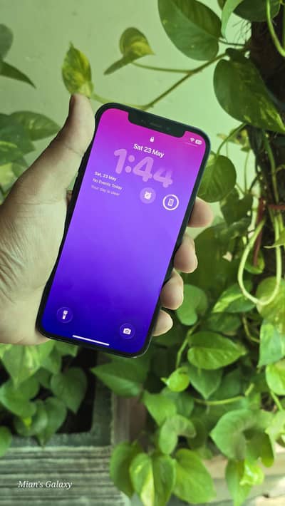 I phone 12 PTA 256