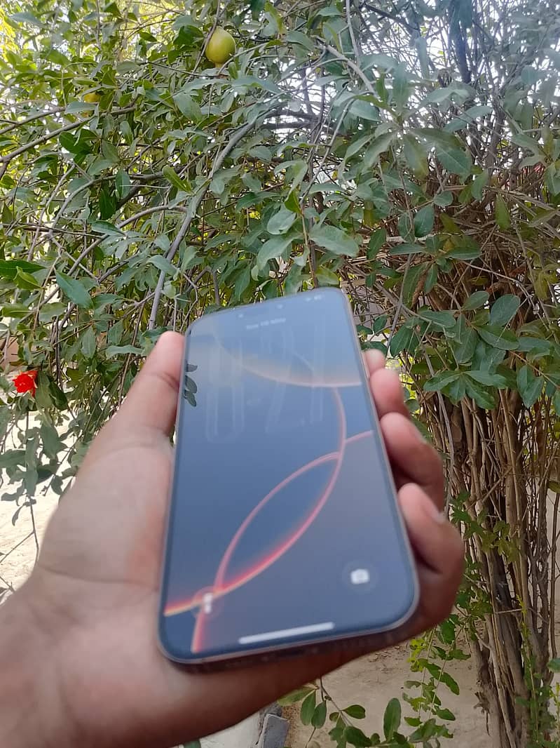 Iphone 16pro max JV 1