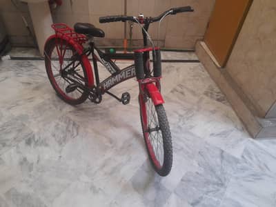 Slightly Used Bicycle