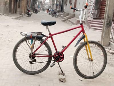 willing bicycle