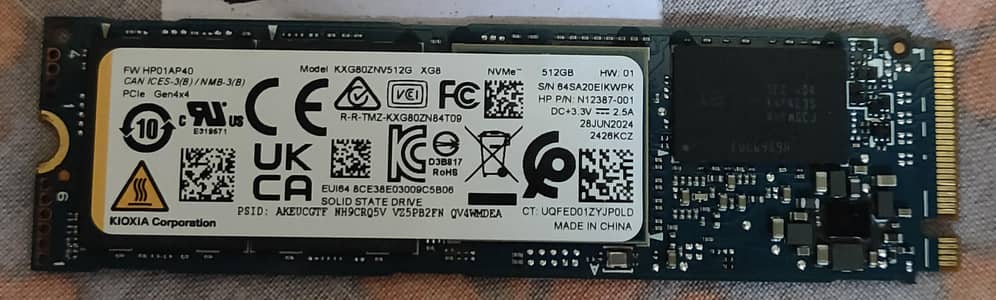 Kioxia XG8 512GB Gen4 with DRam Cache