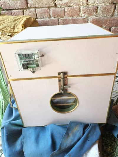hatching machine