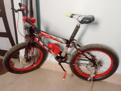 MODERN SB300 bicycle