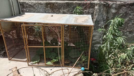 Iron Cage ( Pinjraa )