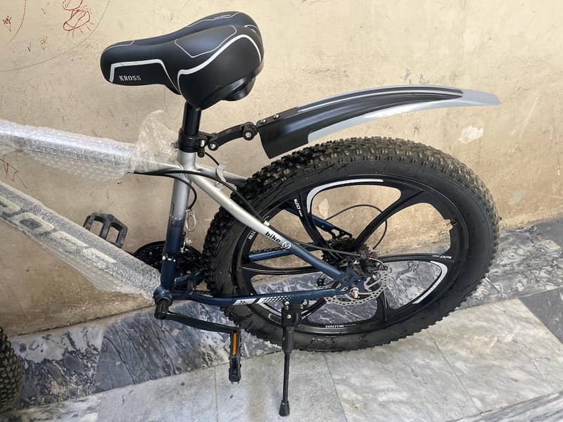 bicycle 2