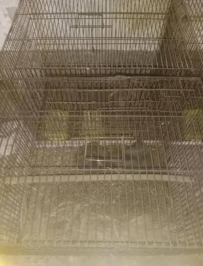iron cages for love birds and chick's
