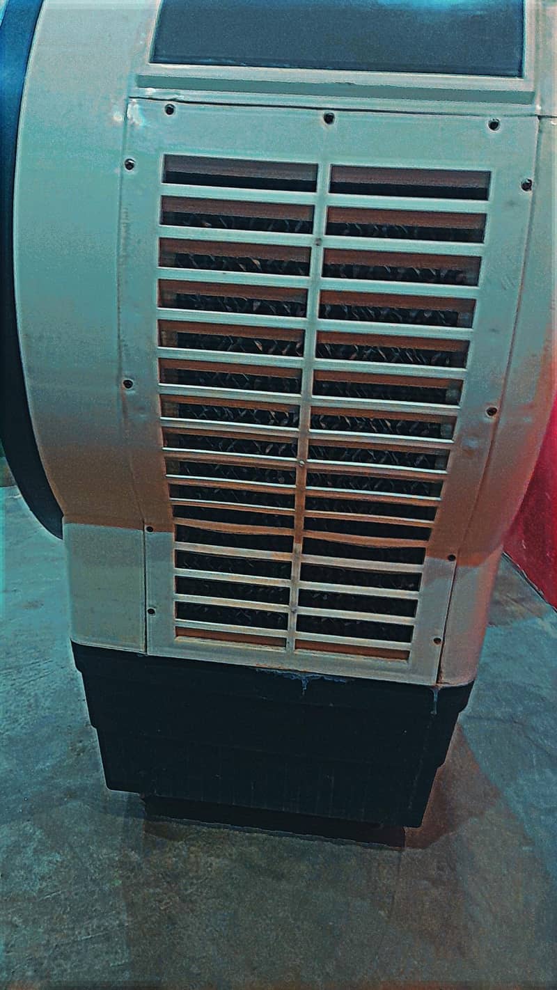summer cooler 2