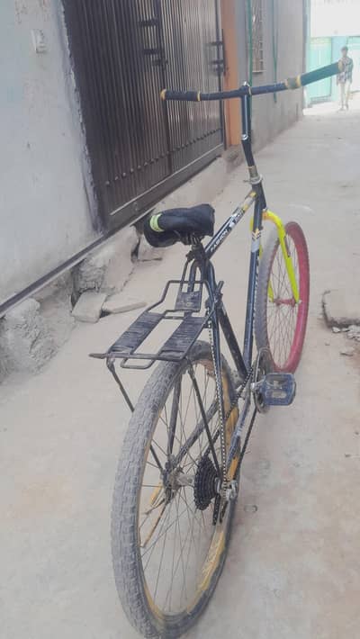 phonics cycleha