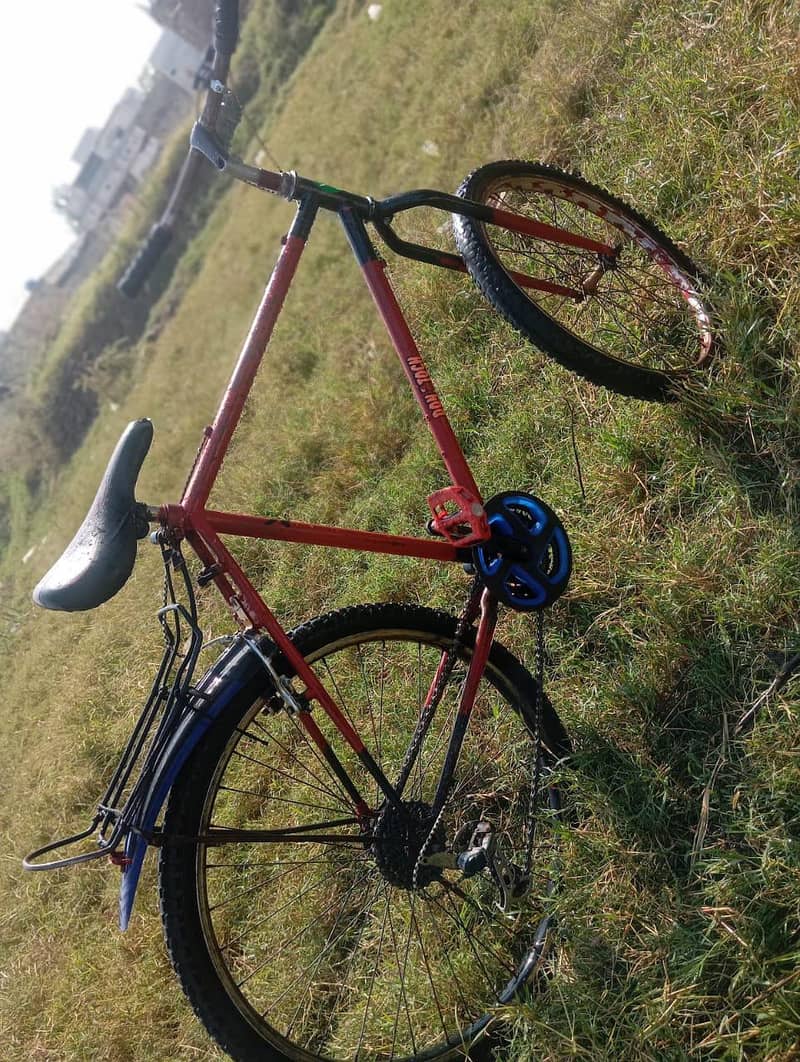 phonix cycle 1