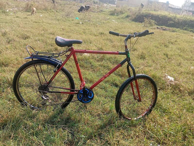 phonix cycle 2