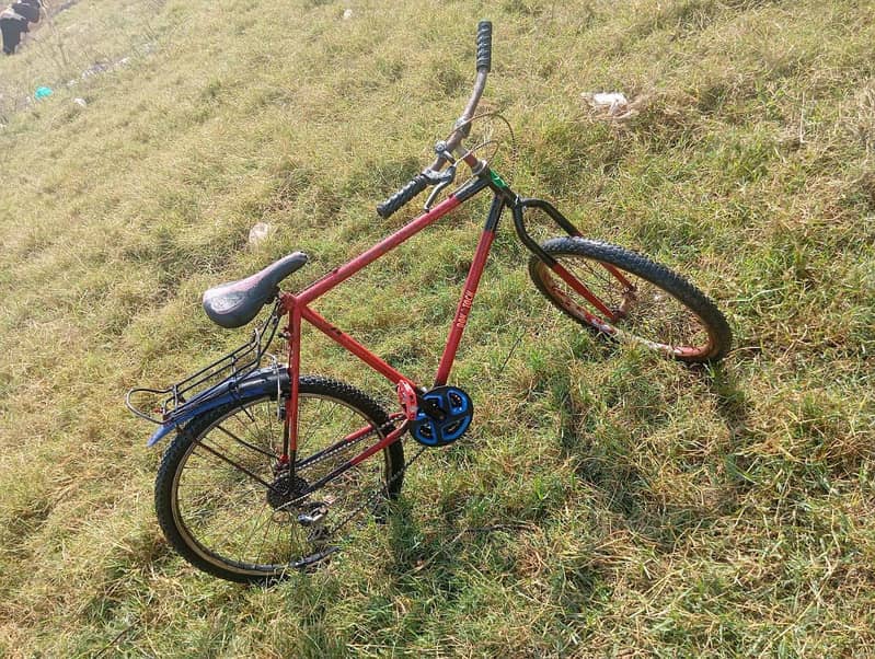 phonix cycle 3