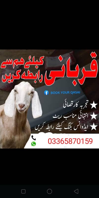 QURBANI KA JANWAR ZIBAH KARWAY