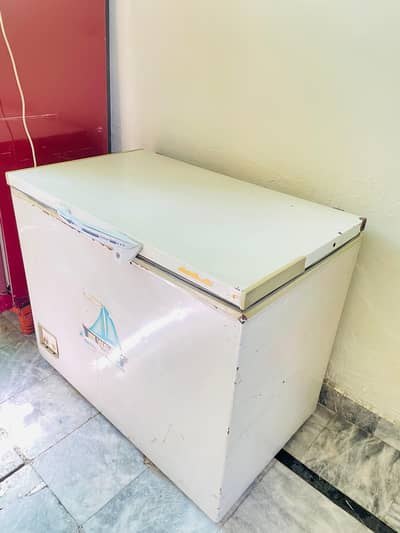 waves deep freezer